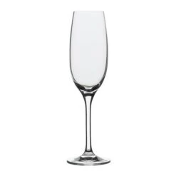 Rona 4808R243 Optima 5 Oz Champagne Flute - 24 / CS