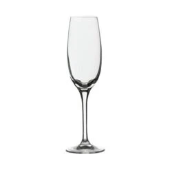 Rona 4807R235 Edition 5 Oz Champagne Flute - 24 / CS