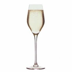 Stolzle 1490029T Exquisit Royale 9 Ounce Champagne Glass - 24 / CS