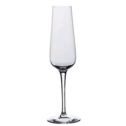 Rona 4813R284 Invitation 6 Oz Champagne Glass - 24 / CS