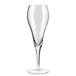 Anchor Hocking 2451RTX Excellency 9 Oz Champagne Tulip Glass - 12 / CS